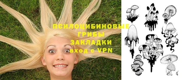кокс Абаза