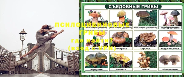 кокс Абаза