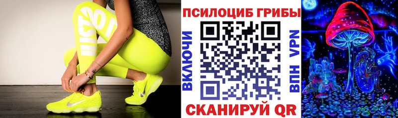 блэк спрут как войти  Хадыженск  Галлюциногенные грибы Cubensis 